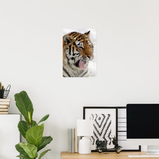 Poster Tiger (Thuiskantoor)