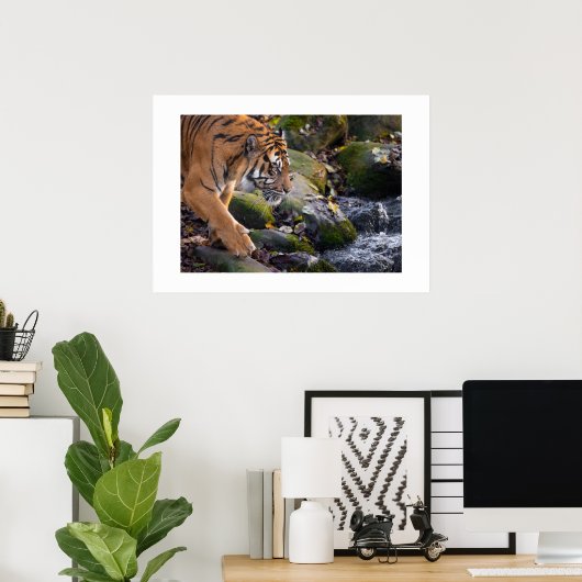 Poster Tiger (Thuiskantoor)