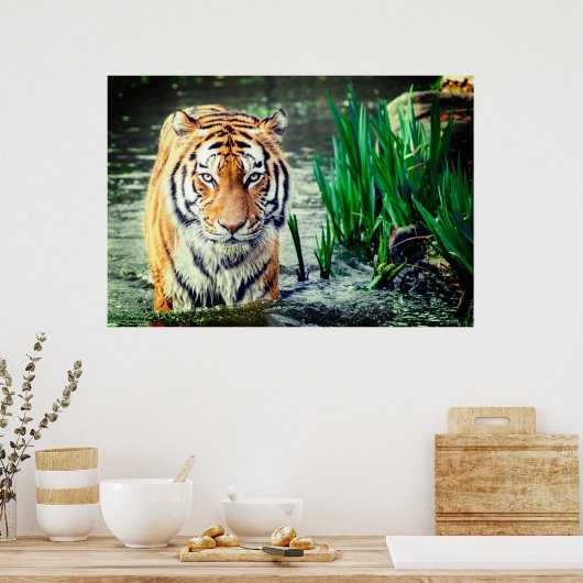 Poster Tiger (Keuken)