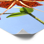 Poster Tiger Sky (Hoek)