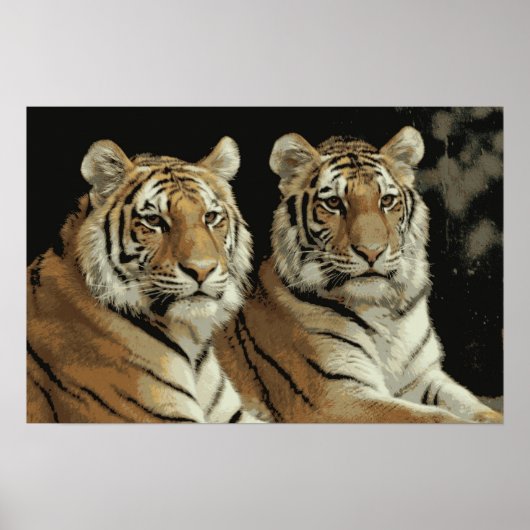 Poster Tiger Twins (Voorkant)