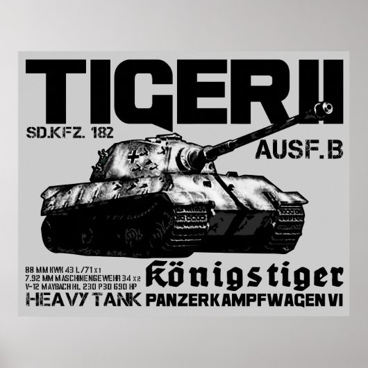 Poster tijger II (Voorkant)