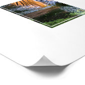 Poster-tijger Poster (Hoek)