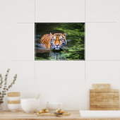 Poster-tijger Poster (Keuken)