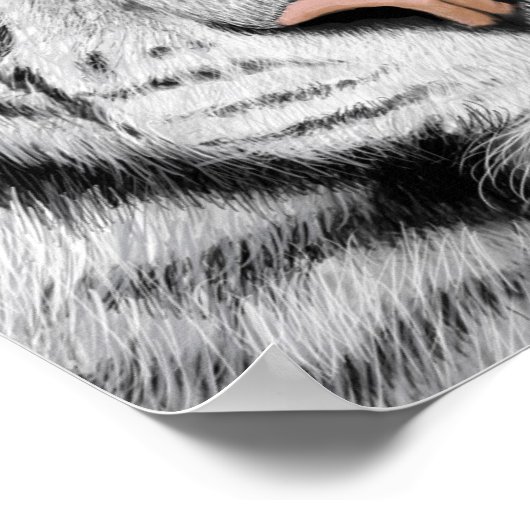 Poster tijgerprofiel (Hoek)