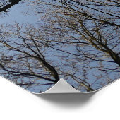 Poster Topjes boomstructuur (Hoek)