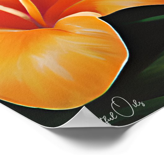 Poster | Toucan | Kunst (Hoek)