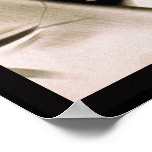 Poster  treingeleider (Hoek)