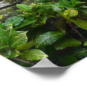 POSTER - Tropical Bali Garden (Hoek)