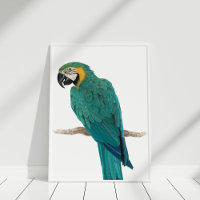 Poster Tropisch blauw Macaw Illustratie