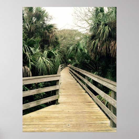 Poster Tropische kever Pier Palm Trees (Voorkant)