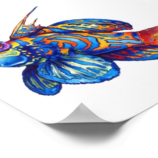 Poster - Tropische vis (Hoek)