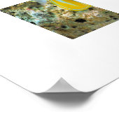 Poster-tropische vis poster (Hoek)