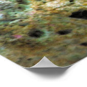 Poster-tropische vis poster (Hoek)