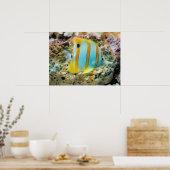 Poster-tropische vis poster (Keuken)