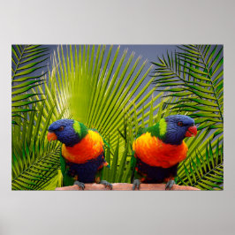 Poster tropische vogels