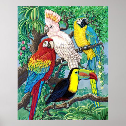 Poster tropische vogels (Voorkant)