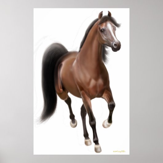Poster Trotting Bay Horse (Voorkant)