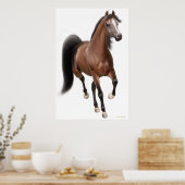Poster Trotting Bay Horse (Keuken)