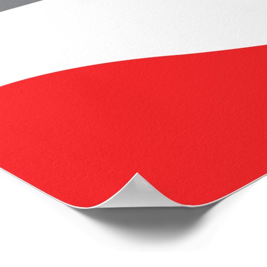 Poster TTC New Streetcar Profile (Hoek)