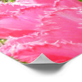 Poster, Tulipa 'Pink Fountain' Tulp en Hyacinten Poster (Hoek)