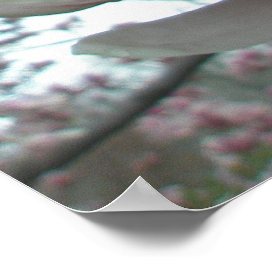 Poster Tulpbomen (Hoek)