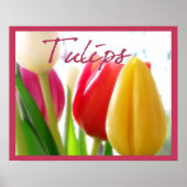 Poster Tulpkleuren (Voorkant)