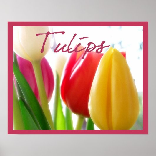 Poster Tulpkleuren (Voorkant)