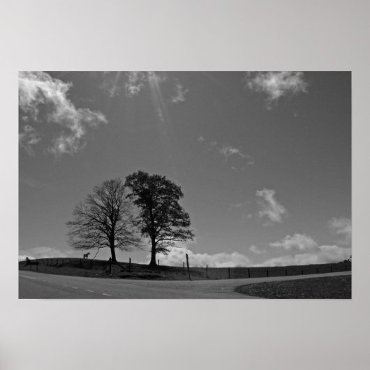 Poster Twin Trees Mountain Meadow (Voorkant)