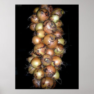 Poster uien