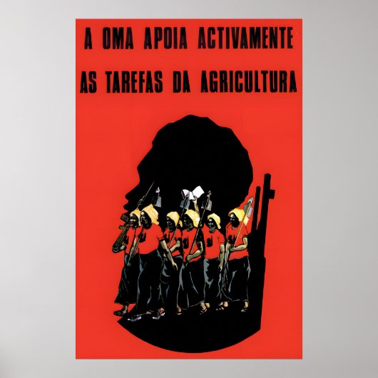 Poster uit de Afrikaanse propaganda uit de jaren 7 (Voorkant)