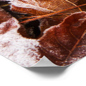 Poster uit voorschotelen (Hoek)