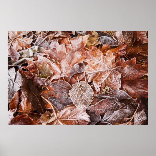 Poster uit voorschotelen (Voorkant)