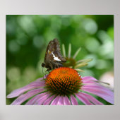 POSTER UITBREIDEN (Voorkant)