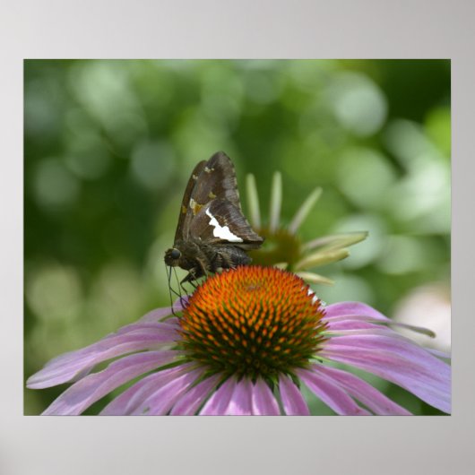POSTER UITBREIDEN (Voorkant)