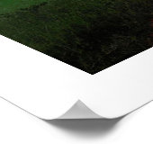 poster van 8,99 in het baobabbos Afrika (Hoek)