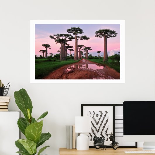 poster van 8,99 in het baobabbos Afrika (Thuiskantoor)