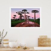 poster van 8,99 in het baobabbos Afrika (Keuken)