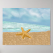 Poster van aanpalmen (Voorkant)