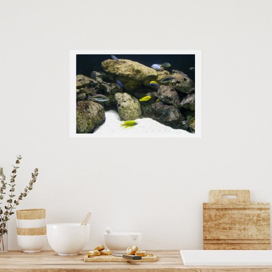 Poster van Afrikaanse Cichlids (Keuken)