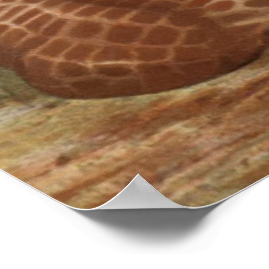 Poster van Afrikaanse Giraffe (Hoek)