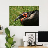 Poster van Afrikaanse Ground Hornbill (Thuiskantoor)
