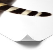 Poster van Afrikaanse luipaard (Hoek)