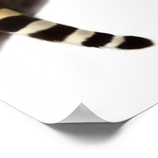 Poster van Afrikaanse luipaard (Hoek)