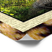 Poster van Afrikaanse schoonheid (Hoek)