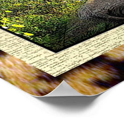 Poster van Afrikaanse schoonheid (Hoek)