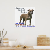 Poster van American Pit Bull Terrier (APBT) (Keuken)