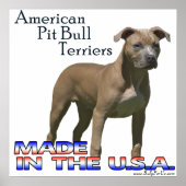 Poster van American Pit Bull Terrier (APBT) (Voorkant)