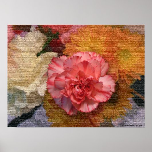 Poster van anjers (Voorkant)