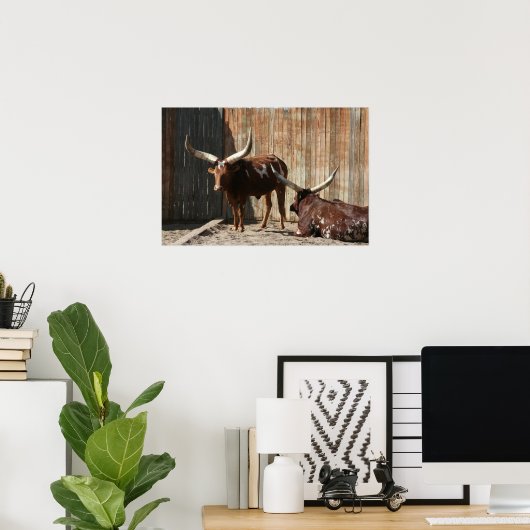 Poster van Ankole-Watusi-runderen (Thuiskantoor)
